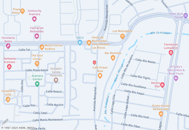  D'Avenue 309 Location map