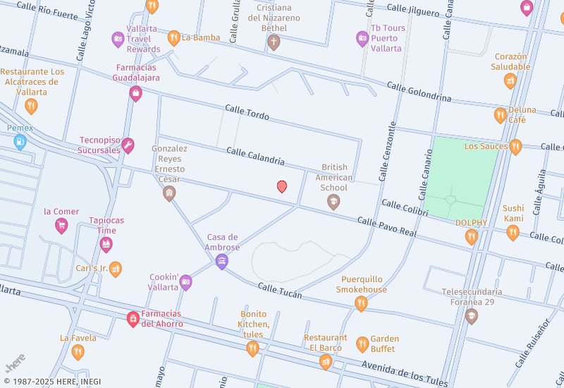 Condominio Aralias 401  Location map