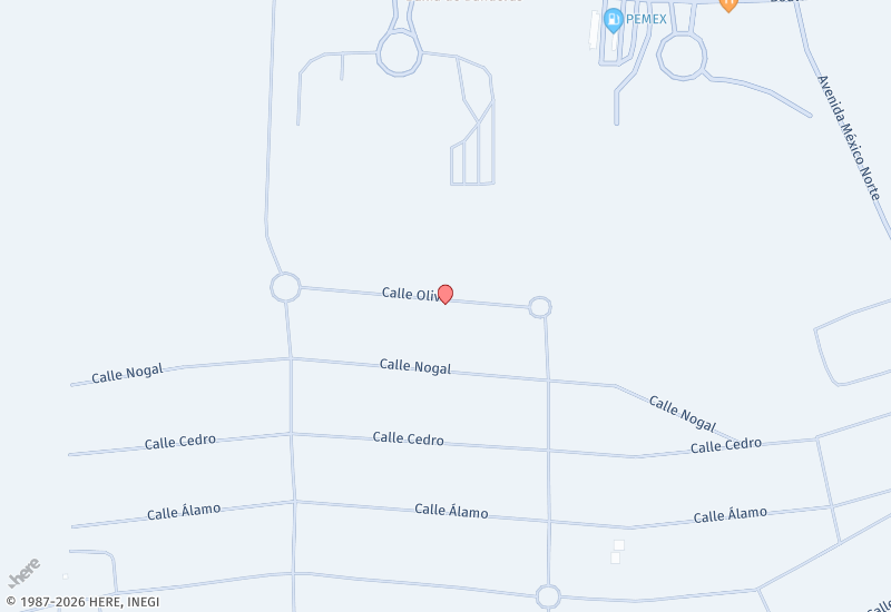 OLIVO 426 LOS TIGRES Mapa de ubicación