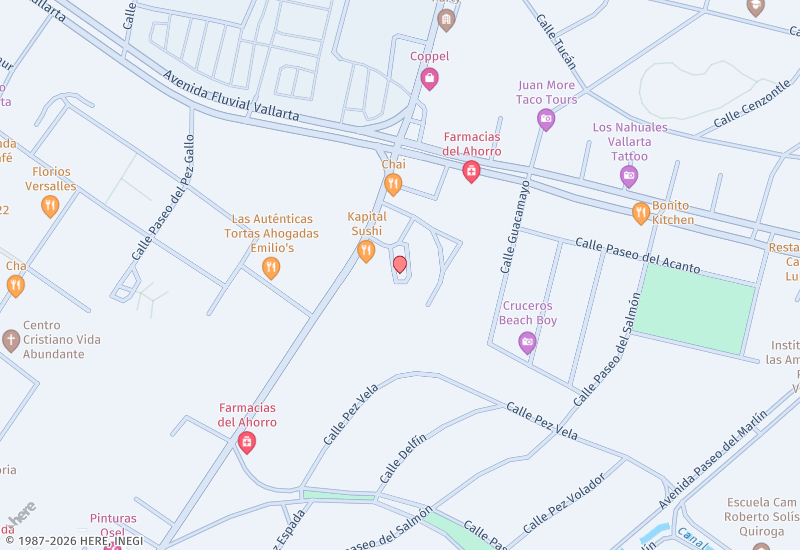 Office Parota Rojo Location map